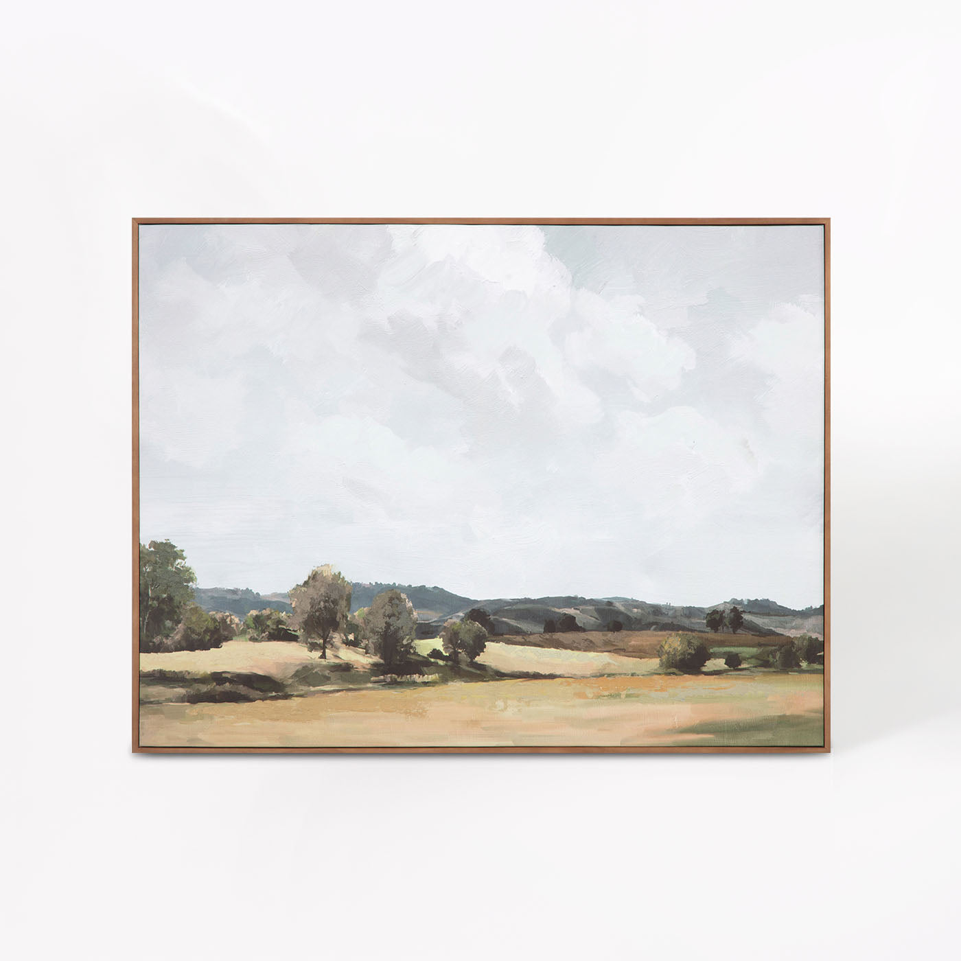 Vast Country Framed Painting