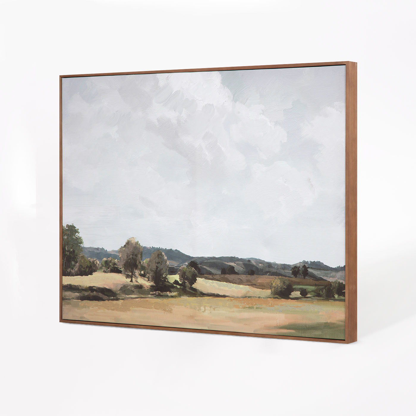 Vast Country Framed Painting