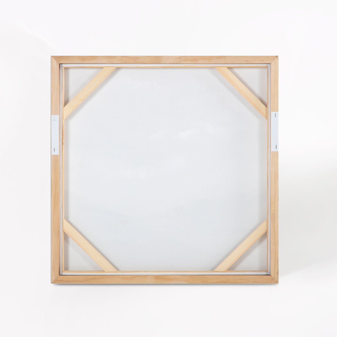 Natural World Framed Painting